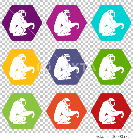 Monkey sitting icon set color hexahedron Monkey sitting icon set color hexahedron 36990582