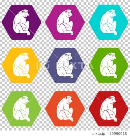 Orangutan icon set color hexahedron Orangutan icon set color hexahedron 36990618