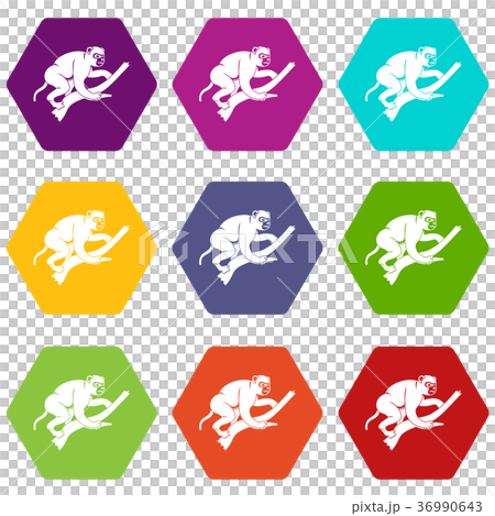 Monkey is climbing up on a tree icon set color hexahedron Monkey is climbing up on a tree icon set color hexahedron 36990643