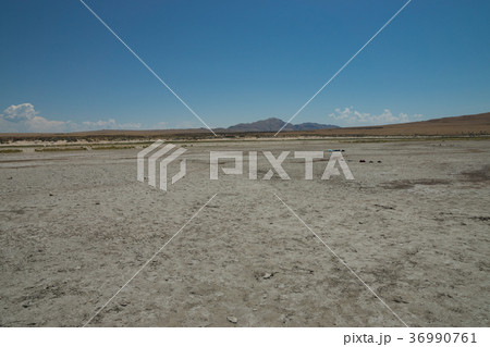 アンテロープ島 アンテロープ島 36990761