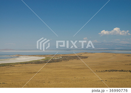 アンテロープ島 36990776