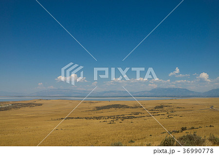 アンテロープ島 36990778