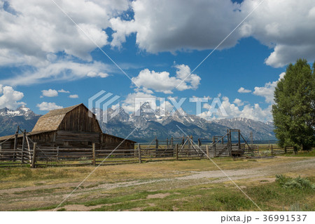 グランドティトン国立公園 36991537
