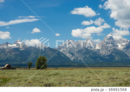 グランドティトン国立公園 36991568