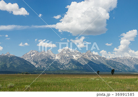 グランドティトン国立公園 36991585