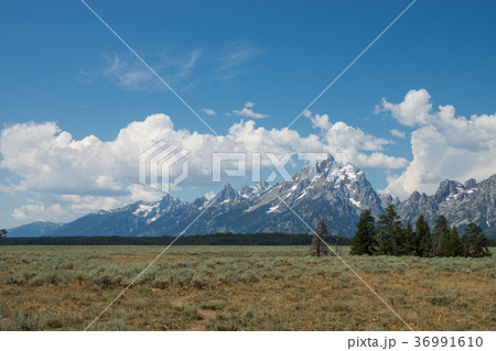 グランドティトン国立公園 36991610