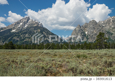 グランドティトン国立公園 36991613