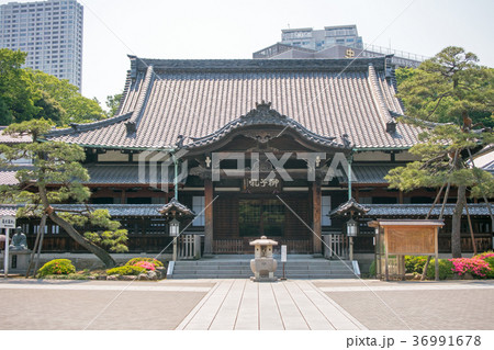 泉岳寺 本堂 東京都港区高輪  泉岳寺 本堂 東京都港区高輪  36991678