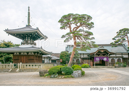 護国寺 多宝塔と月光殿 護国寺 多宝塔と月光殿 36991792