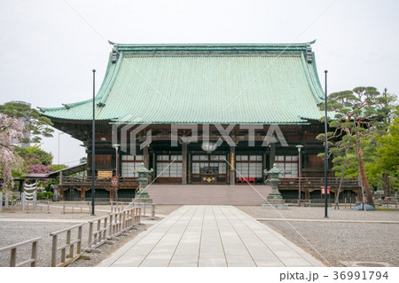 東京都　護国寺（ごこくじ）　本堂　重要文化財 36991794