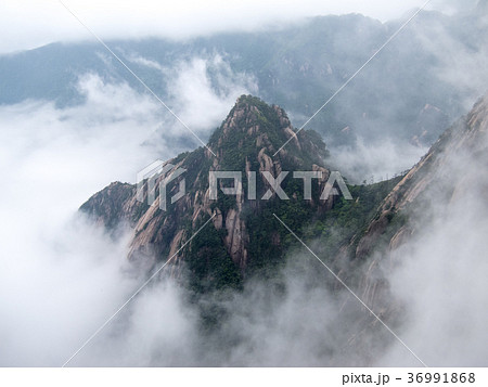 中国の名山　黄山 36991868