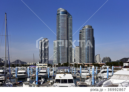 ヨット マリンシティ 海雲台区 36992867