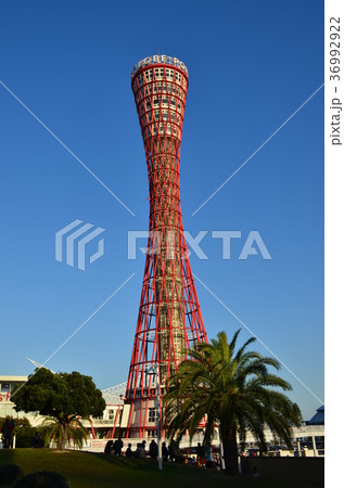 神戸ポートタワー 神戸ポートタワー 36992922