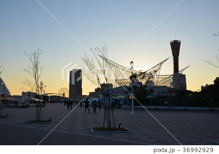 メリケンパーク夕暮れ メリケンパーク夕暮れ 36992929