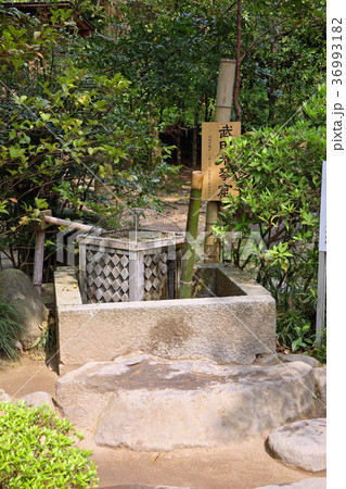 武田神社 36993182
