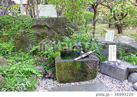 武田神社 36993220