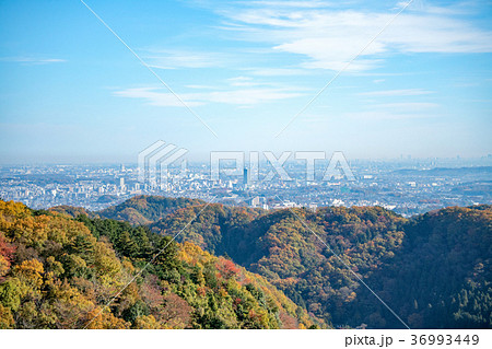 高尾山 秋の登山道 稲荷山コース あずま屋から都心方面の見晴らし 高尾山 秋の登山道 稲荷山コース あずま屋から都心方面の見晴らし 36993449
