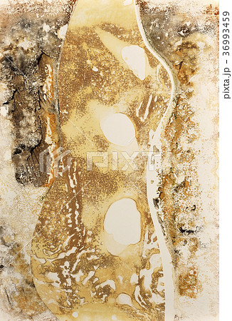 人体　ヌード 36993459