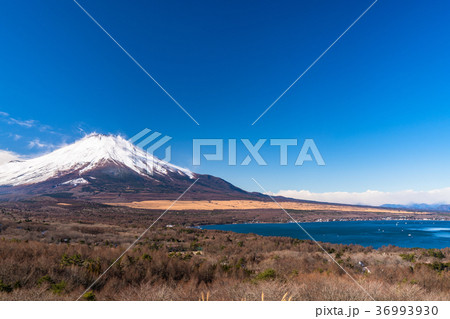 《山梨県》富士山・山中湖パノラマ台より一望 《山梨県》富士山・山中湖パノラマ台より一望 36993930
