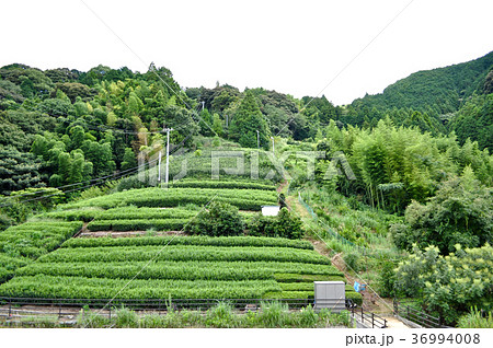 藤枝パーキングエリア下りの写真 36994008