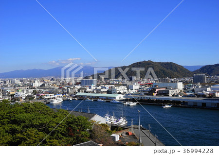 12月　沼津06沼津魚市場 36994228