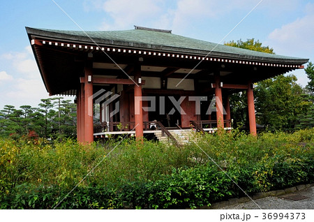 中宮寺本堂 36994373
