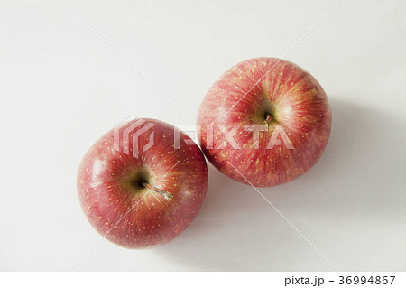 サンふじりんご 36994867