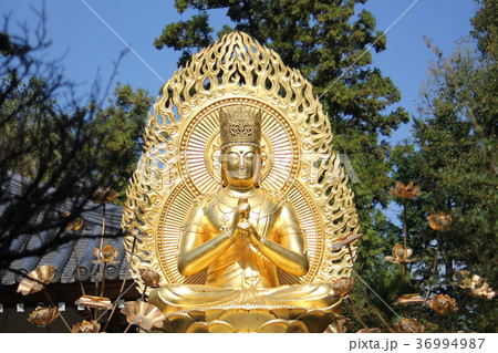 久米寺・大日如来 36994987