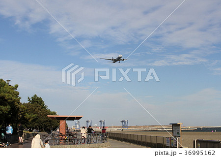 ファイナルアプローチ　城南島上空 36995162