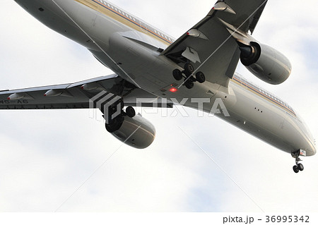 最終着陸態勢 36995342