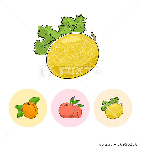 Fruit Icons, Melon ,Peach, Apricot Fruit Icons, Melon ,Peach, Apricot 36996238