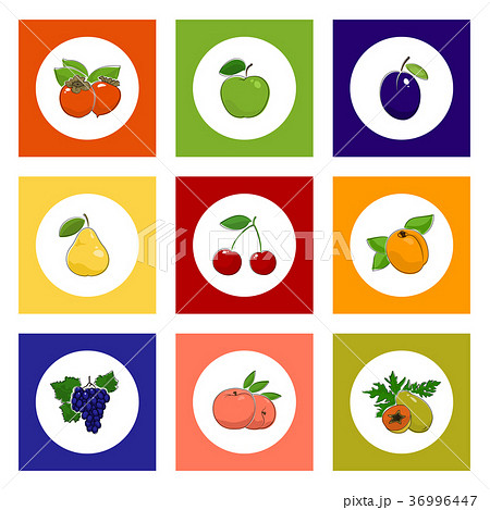 Round Fruit and Berry Icons on Colorful Background Round Fruit and Berry Icons on Colorful Background 36996447