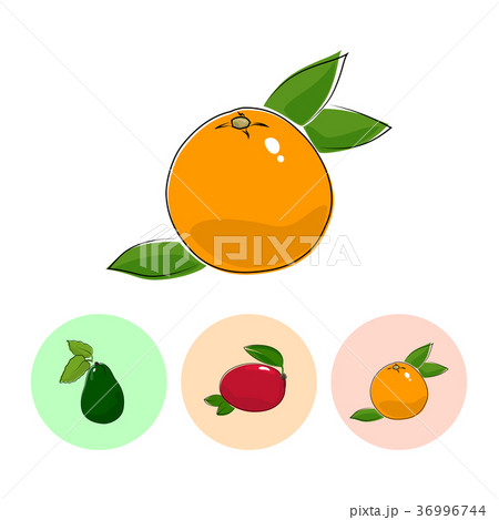 Fruit Icons, Grapefruit, Mango ,Avocado 36996744