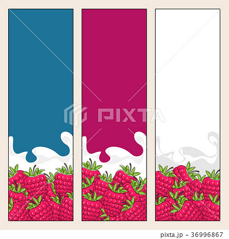 Set of  Vertical  Banners with Berry Raspberries 36996867