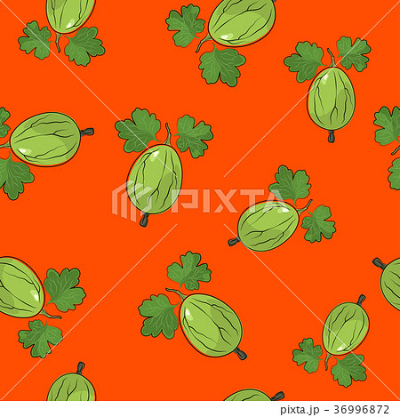 Seamless Pattern ,Gooseberry on Orange Background 36996872