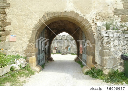 スピシュ城/スピシュスキー城（スロバキア） 36996957