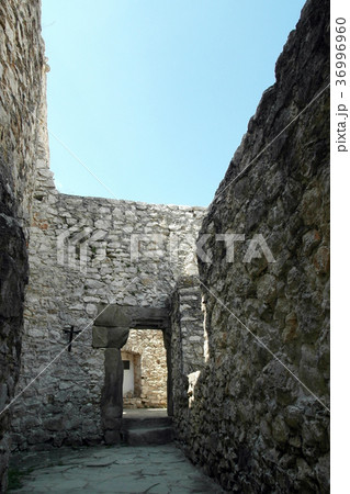 スピシュ城/スピシュスキー城（スロバキア） 36996960