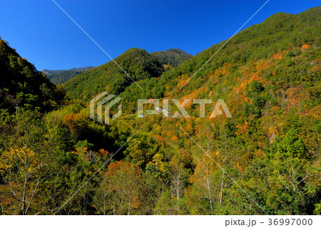 山脈 山岳 ヒルズ 36997000
