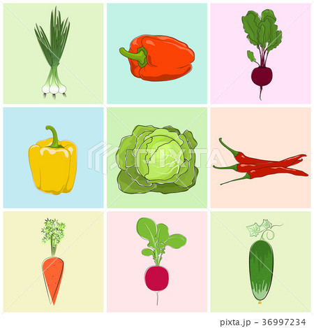 Icons Fresh Vegetables Icons Fresh Vegetables 36997234