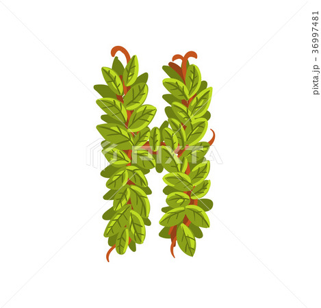 Letter H, English alphabet made of tree branches Letter H, English alphabet made of tree branches 36997481