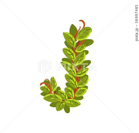 Letter J, English alphabet made of tree branches Letter J, English alphabet made of tree branches 36997485