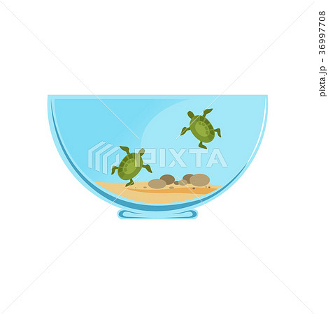 Bowl Terrarium With Little Swimming Turtlesのイラスト素材