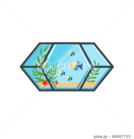 Geometric aquarium with little fishes, sand, sea 36997735
