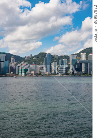 九龍半島から望む香港の風景　縦構図 36997922