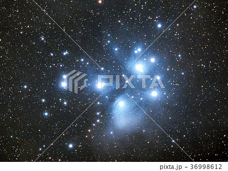 プレアデス星団（すばる）_M45 36998612