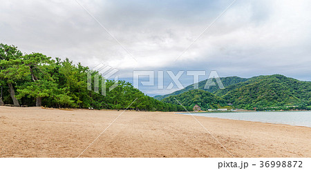 気比の松原 36998872