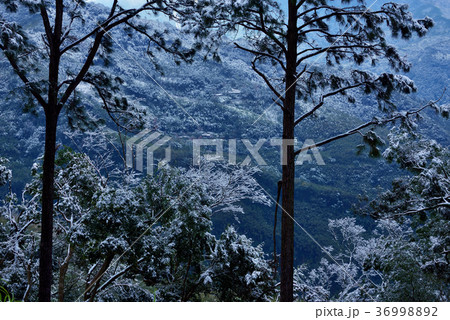 雪景 銀世界 雪景色 36998892