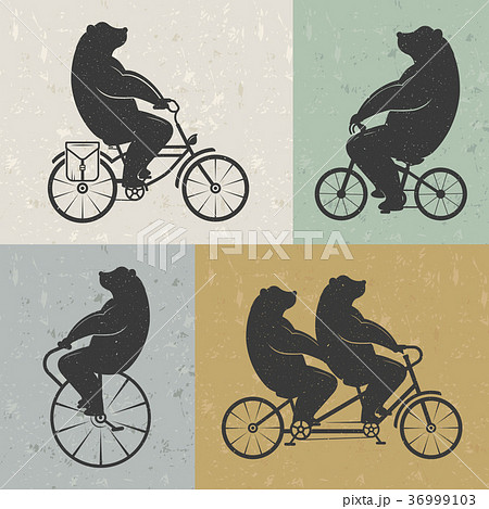 Vintage Illustration of Bear 36999103