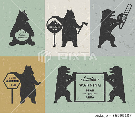 Vintage Illustration of Bear Vintage Illustration of Bear 36999107