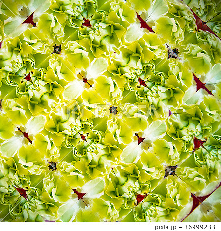 デザイン素材　花束 36999233